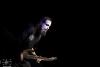 06_Lacuna Coil (17)