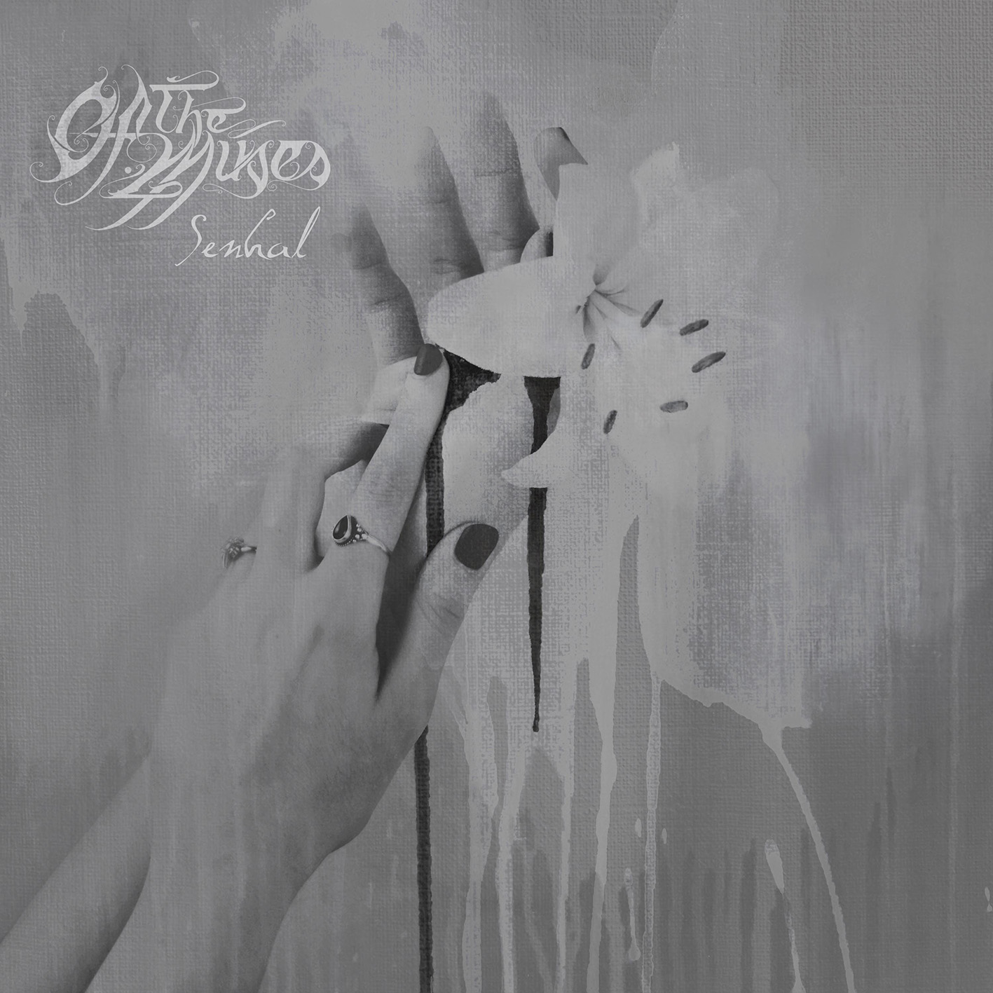 OF THE MUSES – Senhal