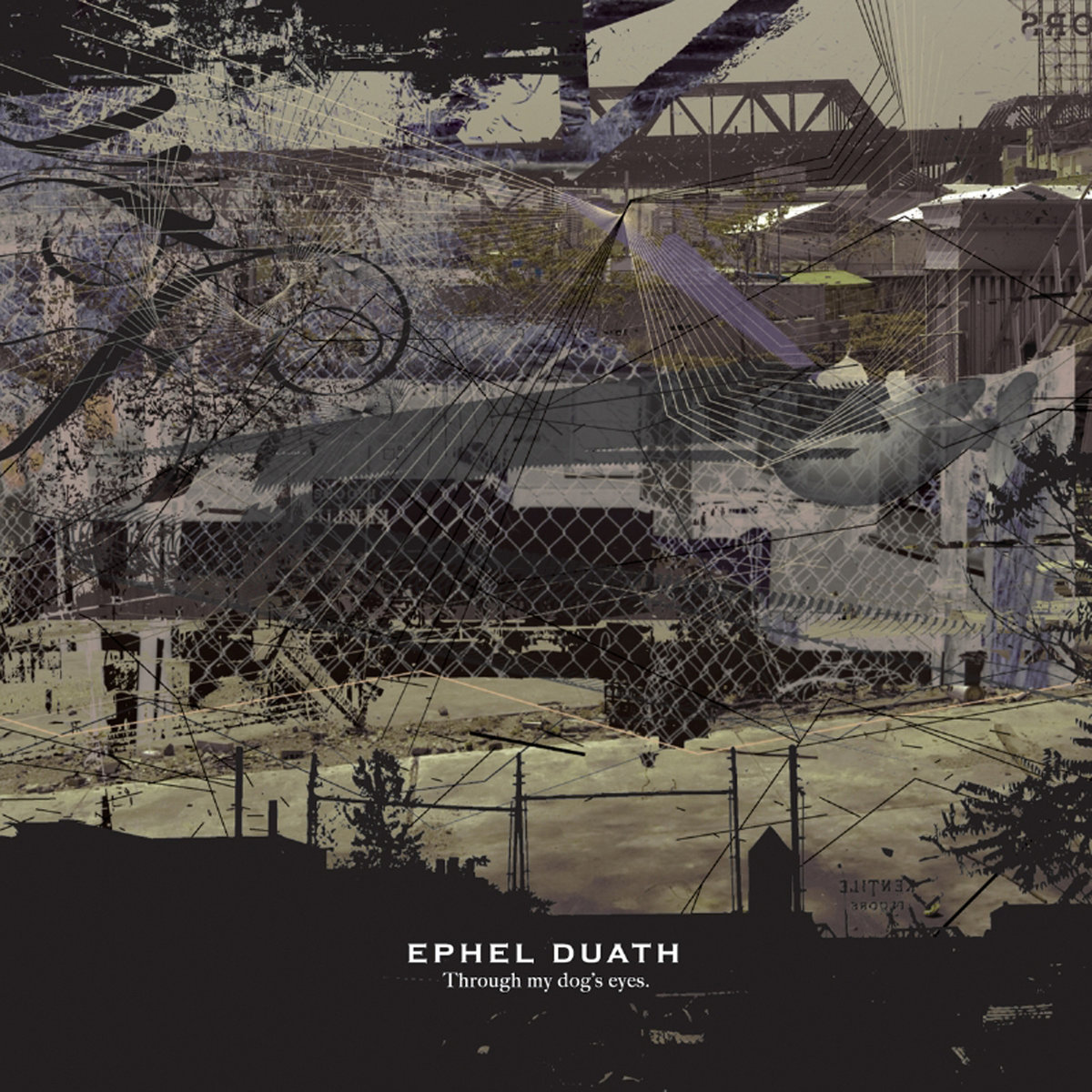 EPHEL DUAT – Through My Dog’s Eyes