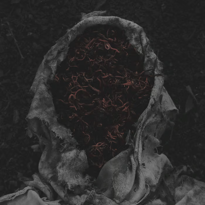 GORRCH – Stillamentum